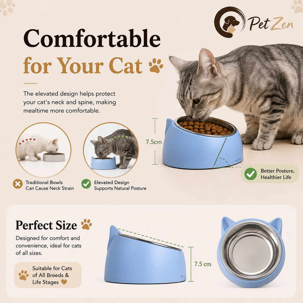 Stainless Steel Pet Bowl – 15° Tilted Non-Slip Bowl for Cats & Small Dogs