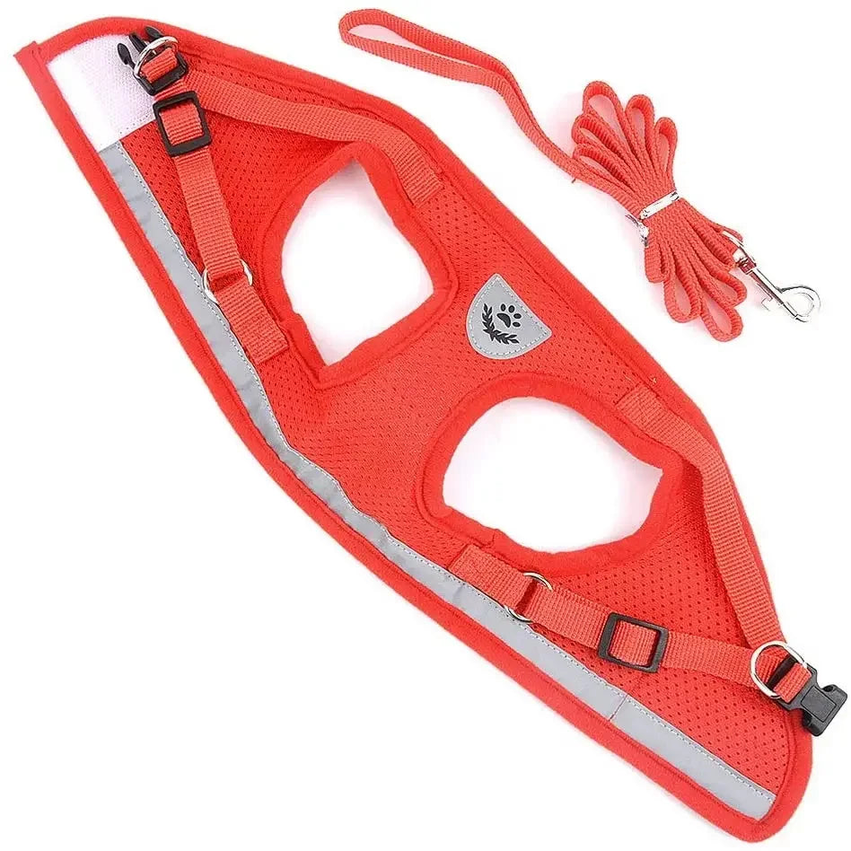 Breathable Reflective Cat & Dog Harness Set – Adjustable Vest with Leash