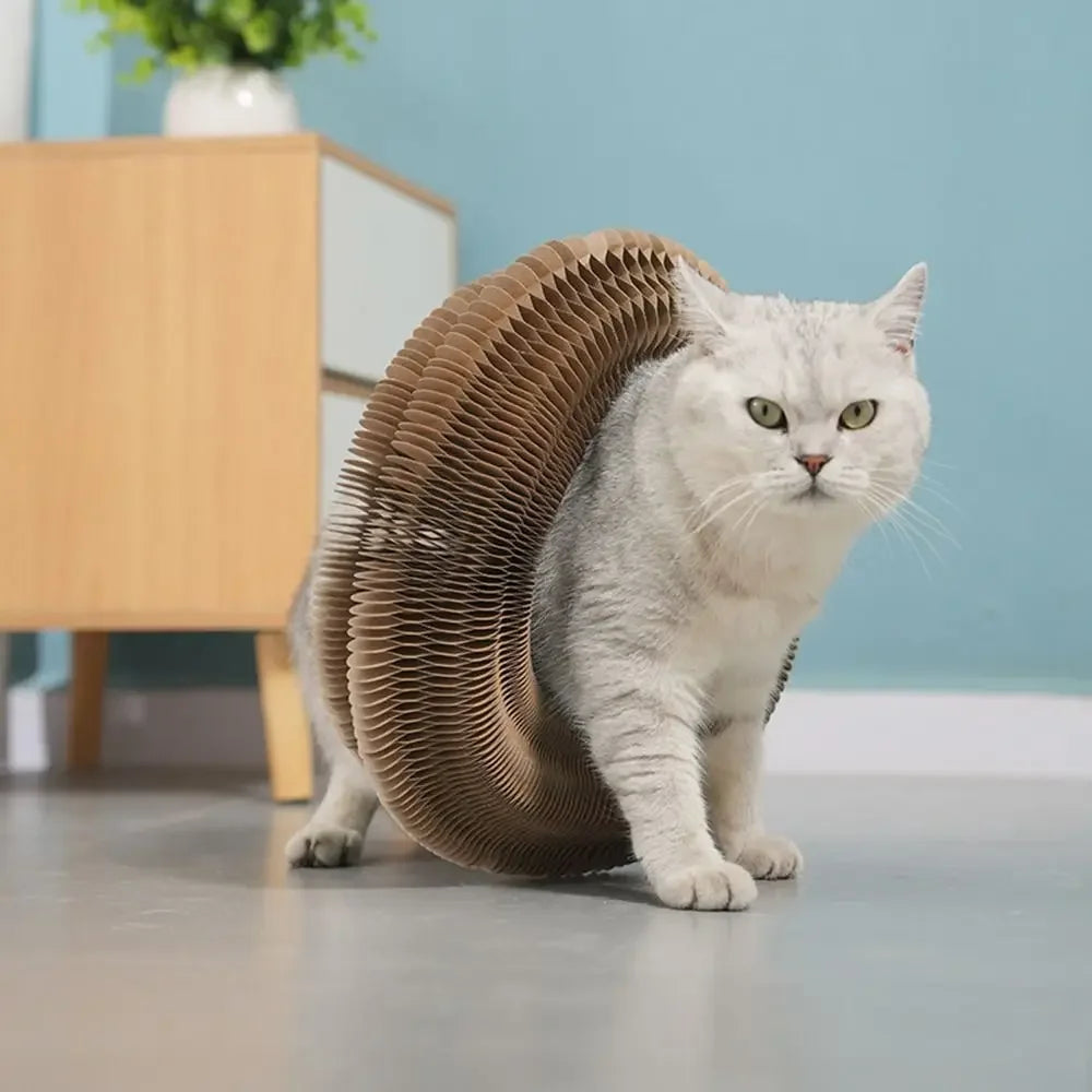 Interactive Foldable Cat Scratcher Toy with Ball – Corrugated Cardboard Scratch Pad for Indoor Cats