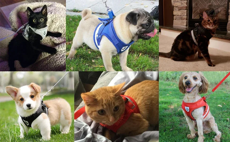 Breathable Reflective Cat & Dog Harness Set – Adjustable Vest with Leash