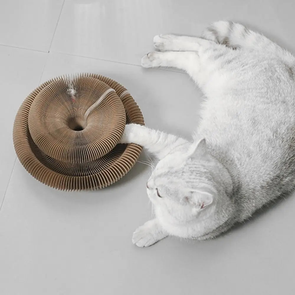 Interactive Foldable Cat Scratcher Toy with Ball – Corrugated Cardboard Scratch Pad for Indoor Cats
