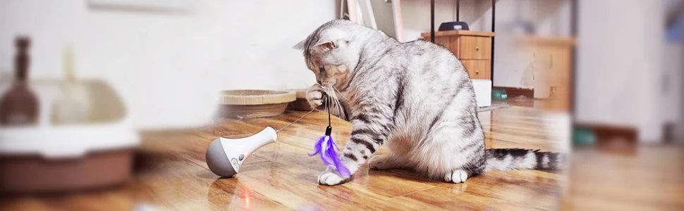 Interactive Cat Feather Toy – Automatic Teaser Toy for Indoor Play