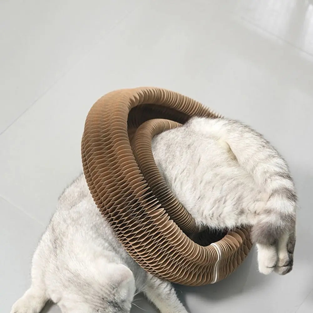 Interactive Foldable Cat Scratcher Toy with Ball – Corrugated Cardboard Scratch Pad for Indoor Cats