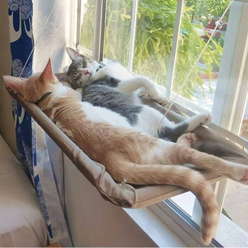 Window Cat Hammock – Cozy Suction Cup Window Perch Bed for Indoor Cats Sunny Window Nest Bearing 20kg - Pet Accessories