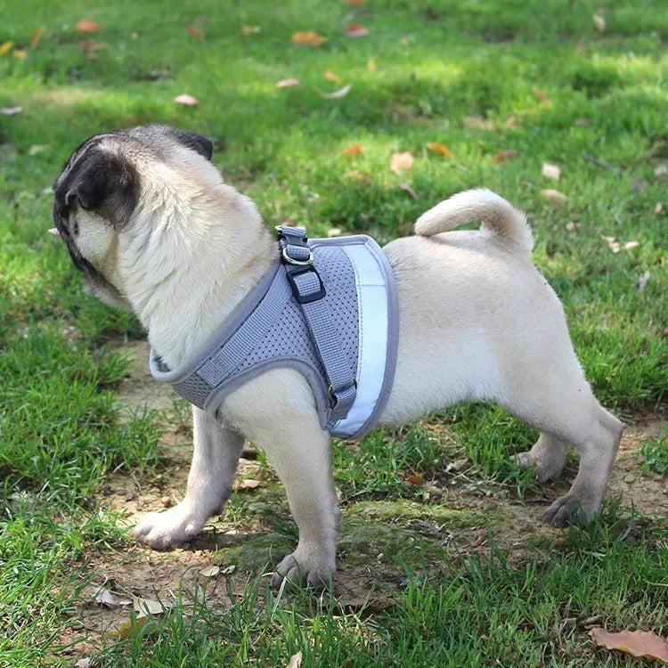 Breathable Reflective Cat & Dog Harness Set – Adjustable Vest with Leash