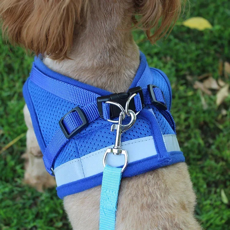 Breathable Reflective Cat & Dog Harness Set – Adjustable Vest with Leash