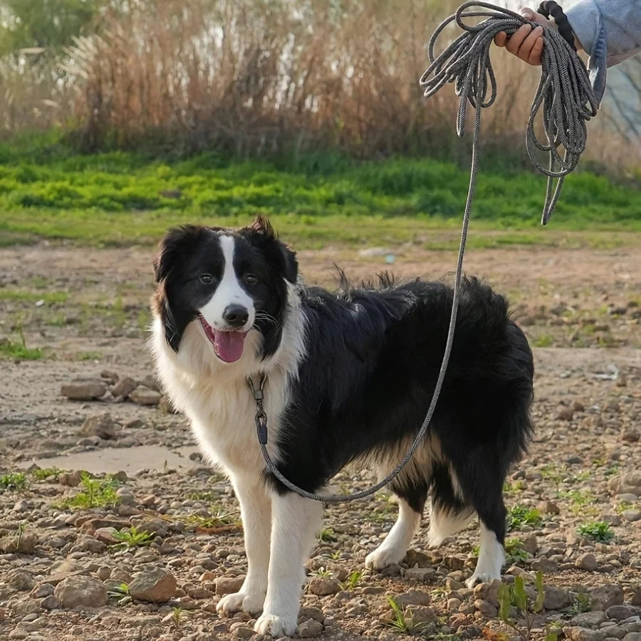 Premium Round Dog Leash – Heavy Duty Durable Rope for Small & Medium Dogs