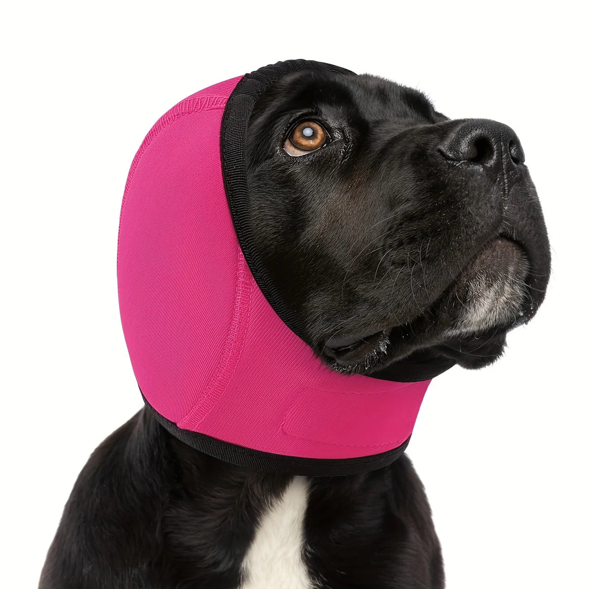 Dog Ear Protector – Waterproof Noise Reduction Ear Muffs for Swimming & Outdoor Activities