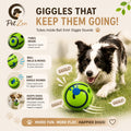 Interactive Giggle Ball for Dogs – No Battery Wobble Ball, Funny Sound Toy for Mental Stimulation, Training & Active Play